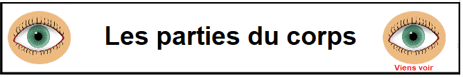 Les parties du corps