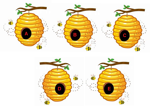 Ruches d'abeilles